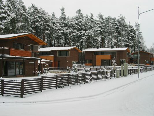 Image Gallery